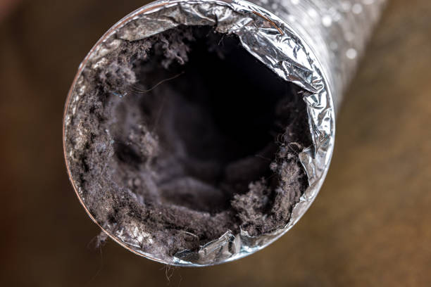 Best Air Vent Cleaning Services  in Stromsburg, NE